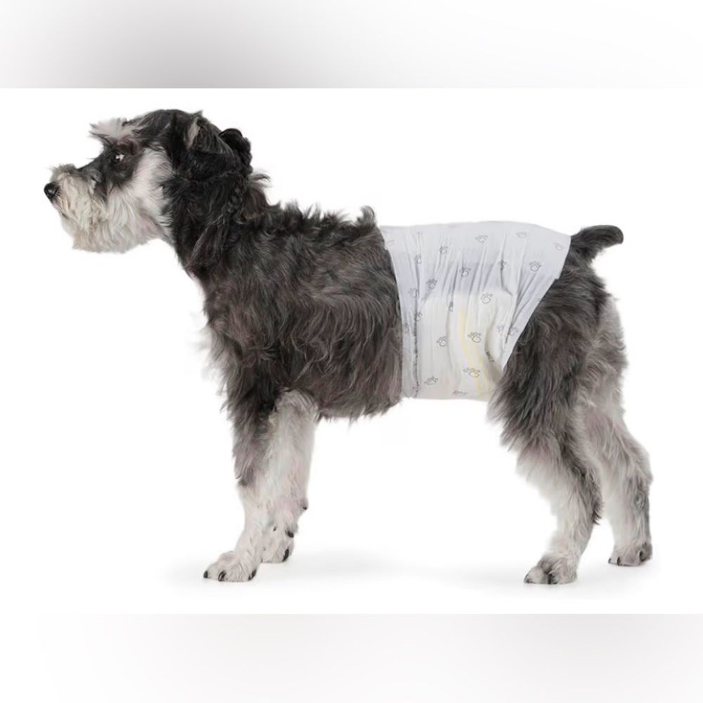 2 packs Male Dog Diapers, Ultra Absorbent Disposable Medium, 60 total